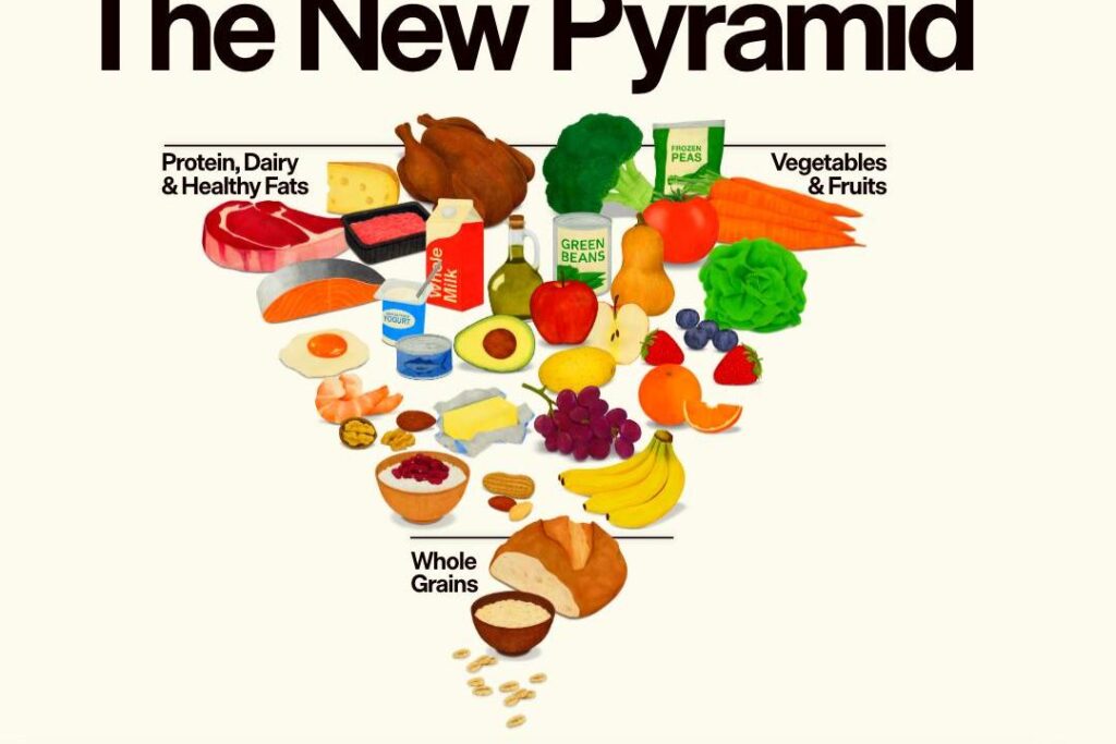 La nueva pirámide alimentaria de EE.UU.: una mirada crítica desde la salud integral